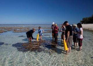 Lady Elliot Island Eco Resort Eksteriør bilde